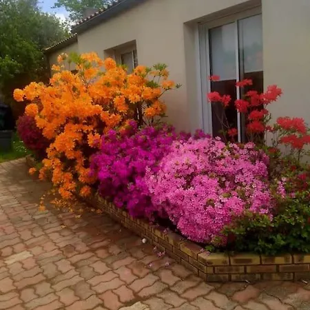 L'herbier Ensoleillee Charmante Maison A 10 Min Du Puy Du Fou 度假居